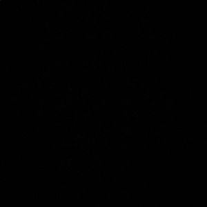 Meet your Posher, Berlyn